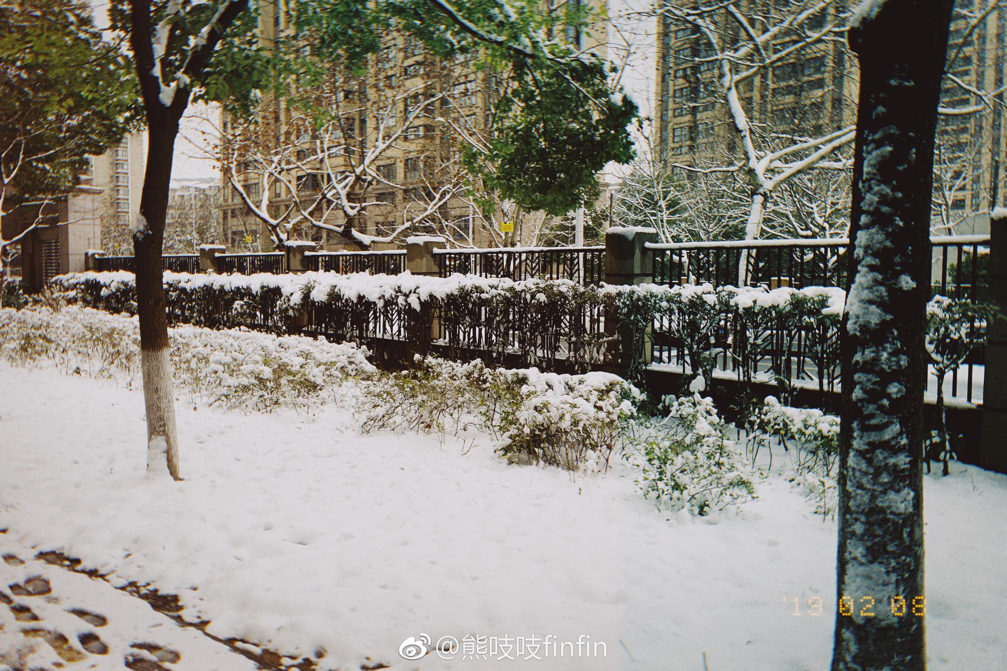 从温暖的三亚回到了下雪的南京