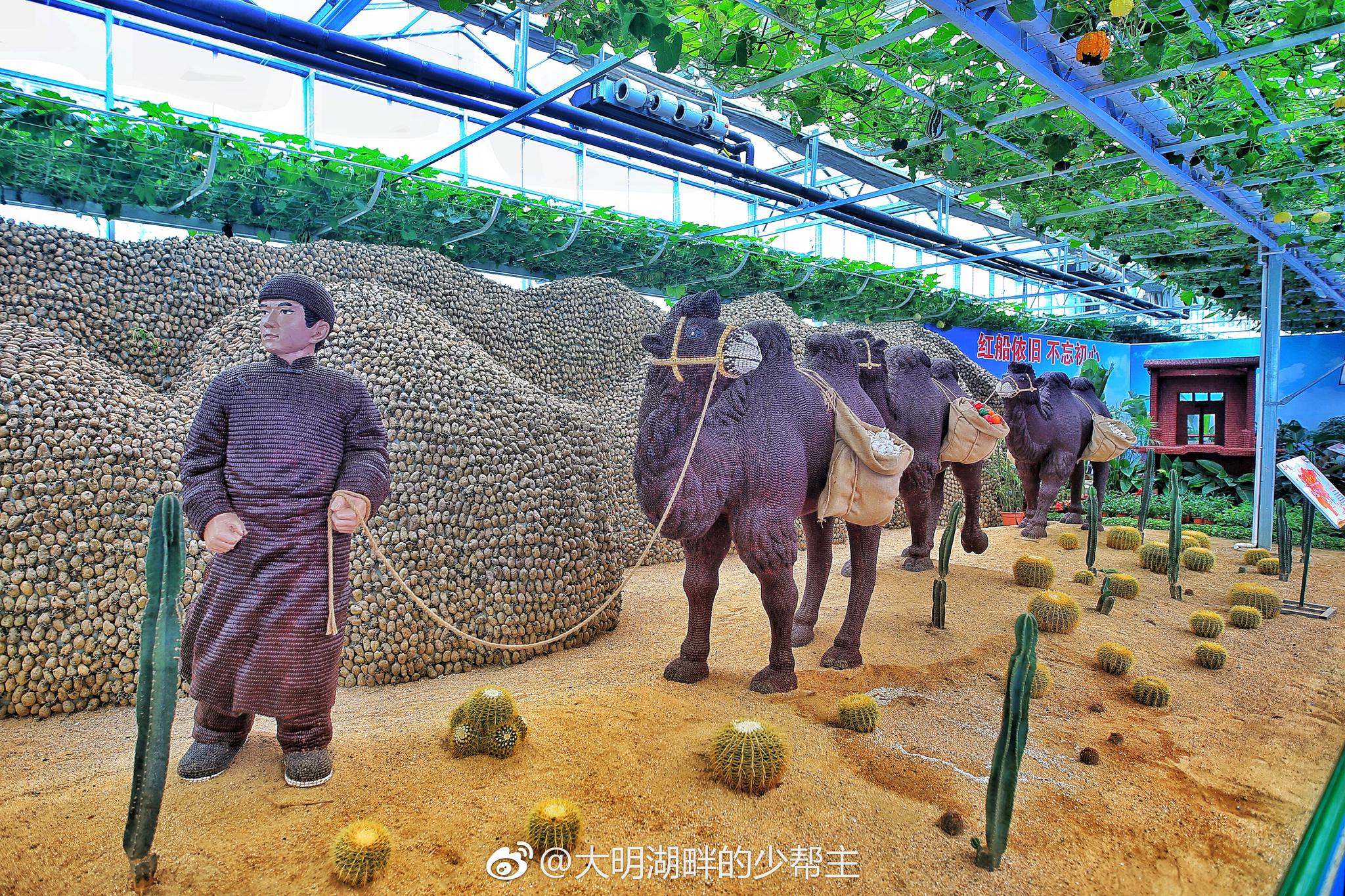 第七届兰陵苍山蔬菜产业博览会今日在临沂农展馆兰陵国家农业公园