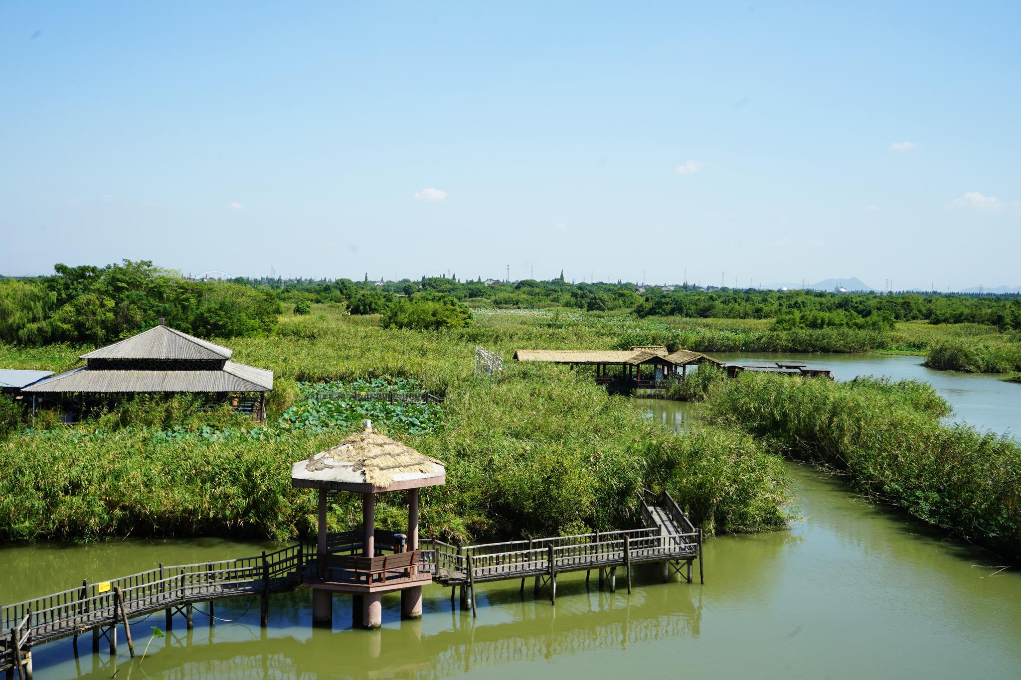 下渚湖国家湿地公园位于浙江德清县,是江南最大的天然湿地