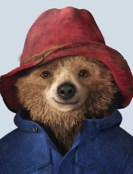 因长得太丑被遗弃但它却逆袭成了十万粉的网红小熊