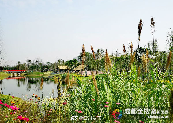 中和湿地公园属于锦城绿道中和湿地段,锦城绿道环成都绕城而建,犹如一