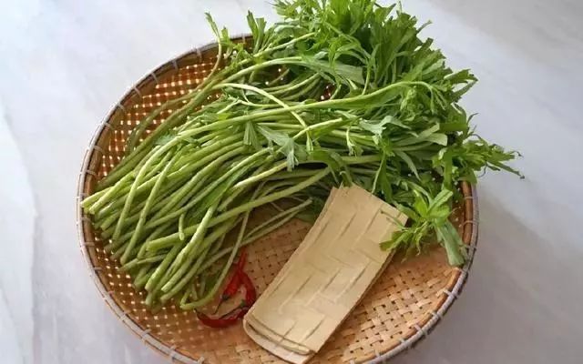 芦蒿是菊科蒿属植物,别名藜蒿,蒌蒿,水蒿等.