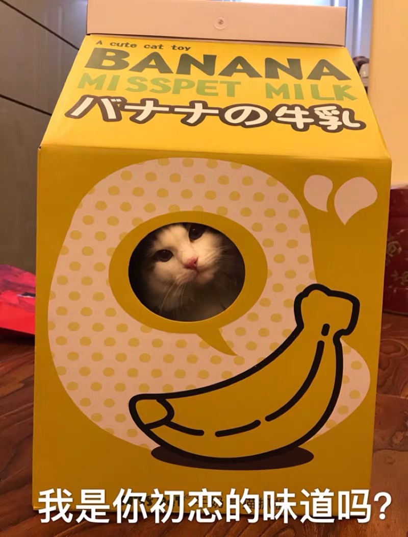 上了一个猫抓板!牛奶盒子和小怪物