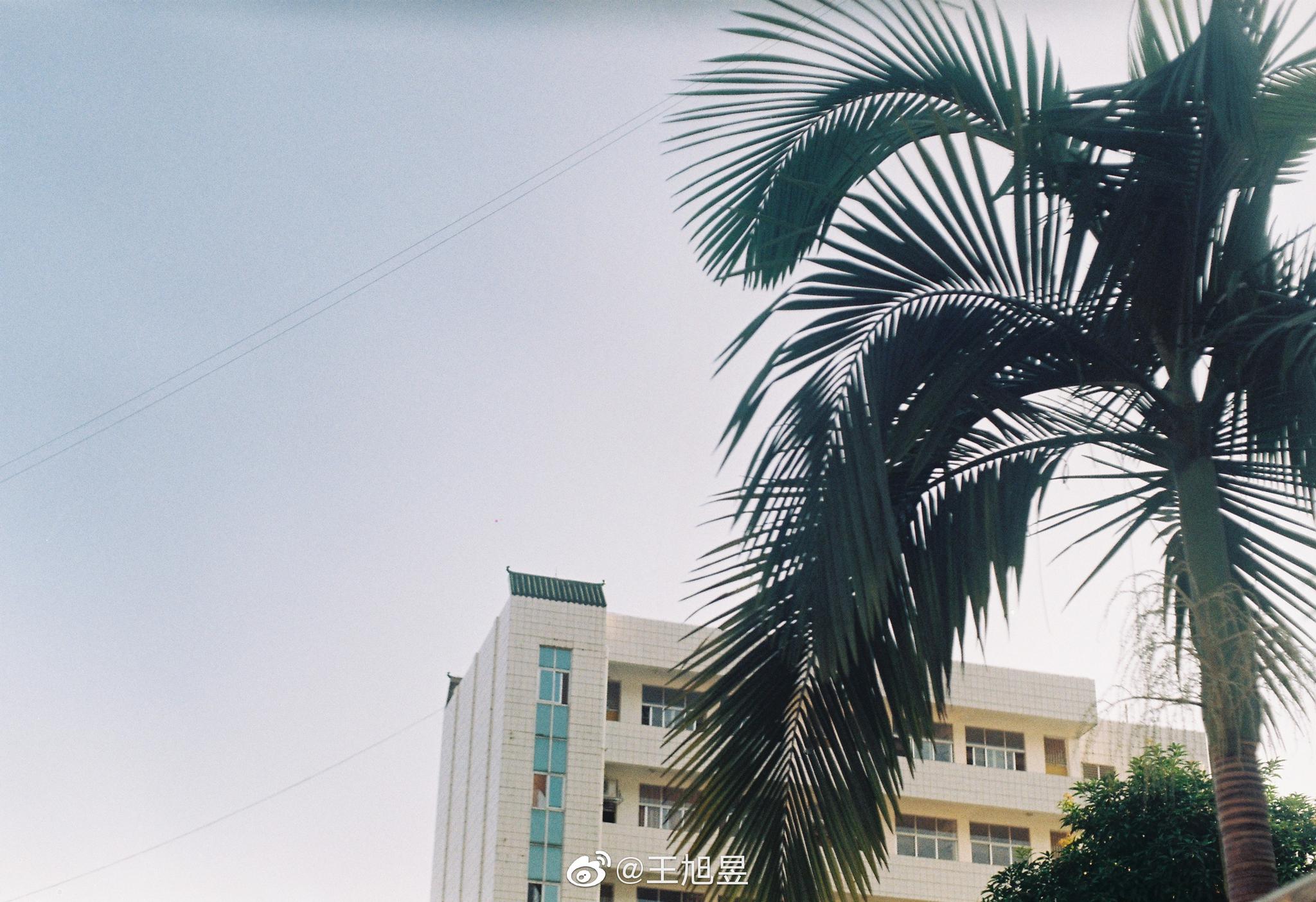 富士柯达大化高中官博