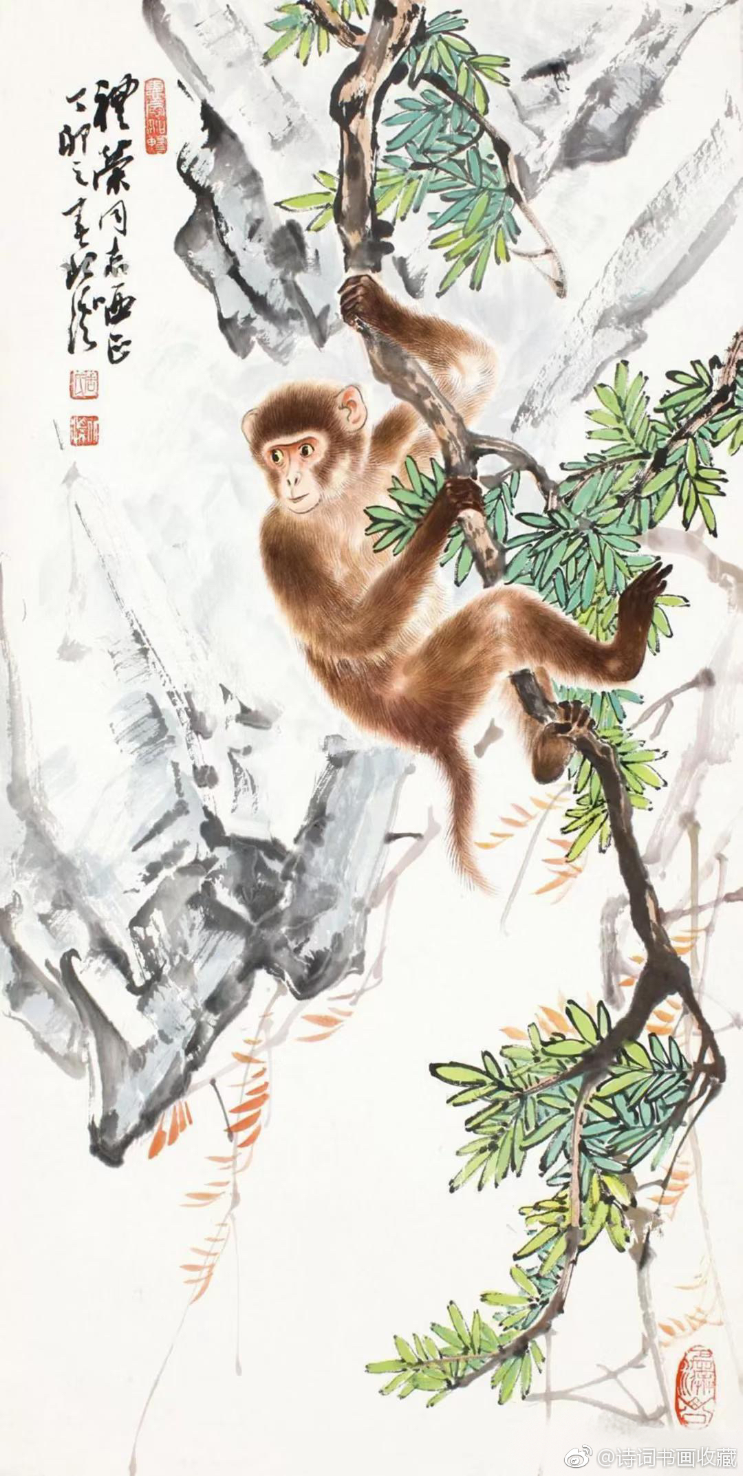 蜀中美猴王周北溪画灵猴