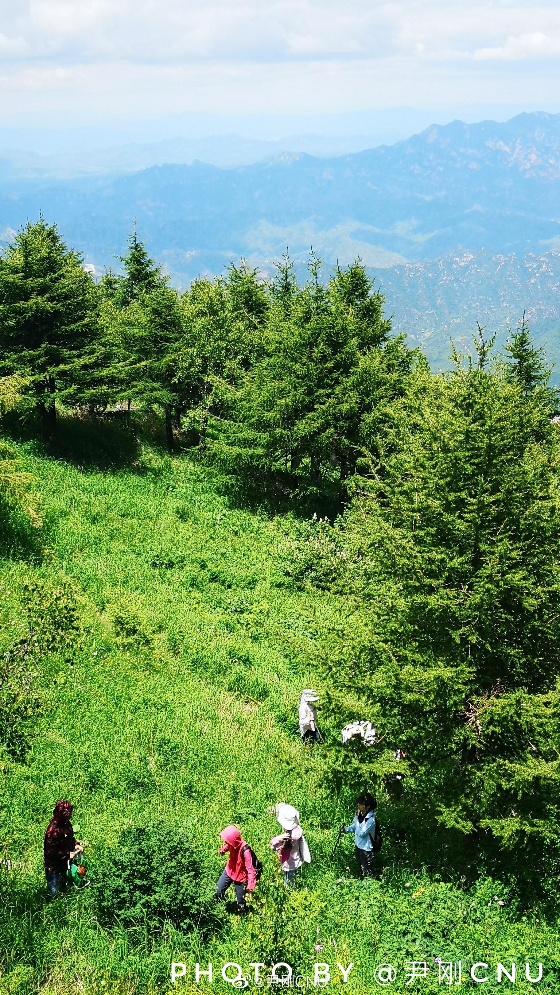 2017级地科班,雾灵山植物,土壤地理野外实习