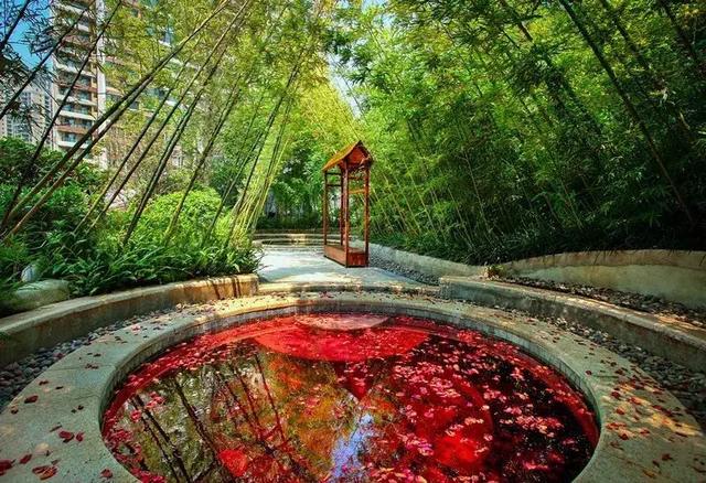 温江人有福了!温泉 美食,这才是年初最佳cp!