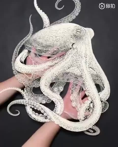 kiri ken爱好就是矿石收藏,纸雕和寻觅海洋生物的独特美感