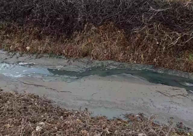 南阳唐河一养猪场偷排牲畜粪便,污染严重无人管!
