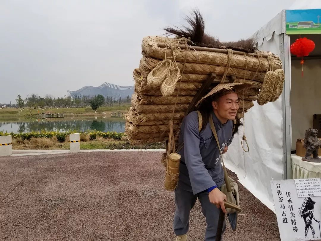就在新年第一天,城市南部的桂溪生态公园湖畔,来自茶马古道的"背二哥"