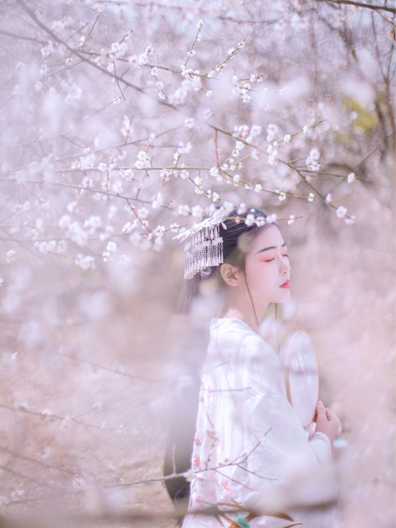 汉服十二花神令 梅花花神香雪海 汉服十二花神令 梅花花神香雪海