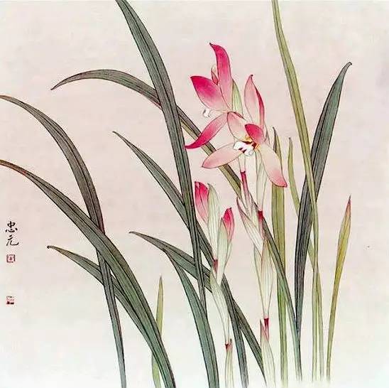 兰花图太美了