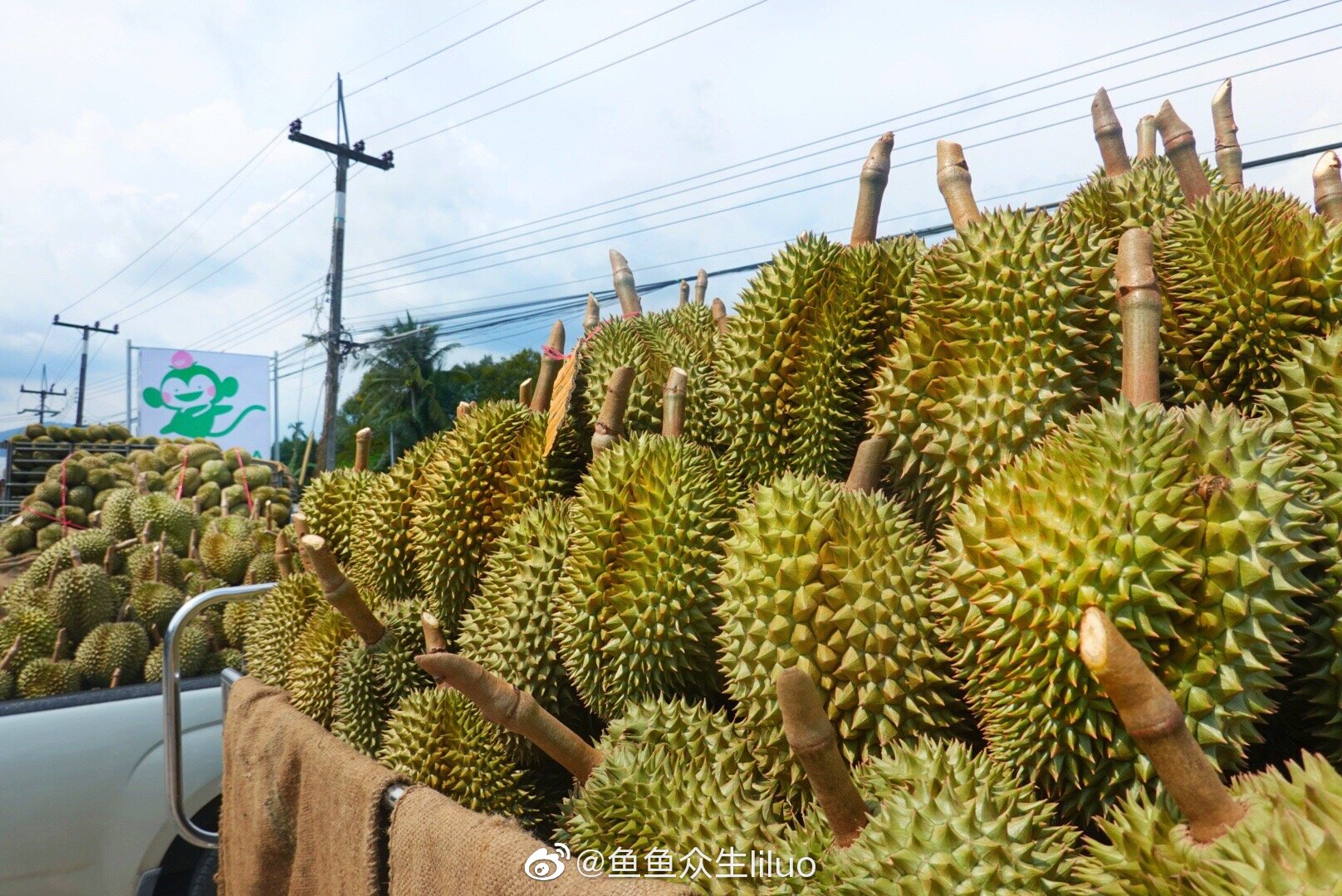 曼谷驱车三小时抵达尖竹汶府,空气里都开始弥漫着榴莲的香气