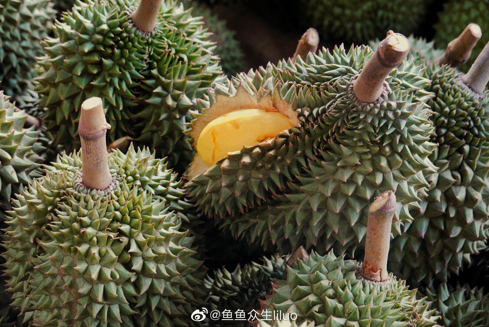 曼谷驱车三小时抵达尖竹汶府,空气里都开始弥漫着榴莲的香气