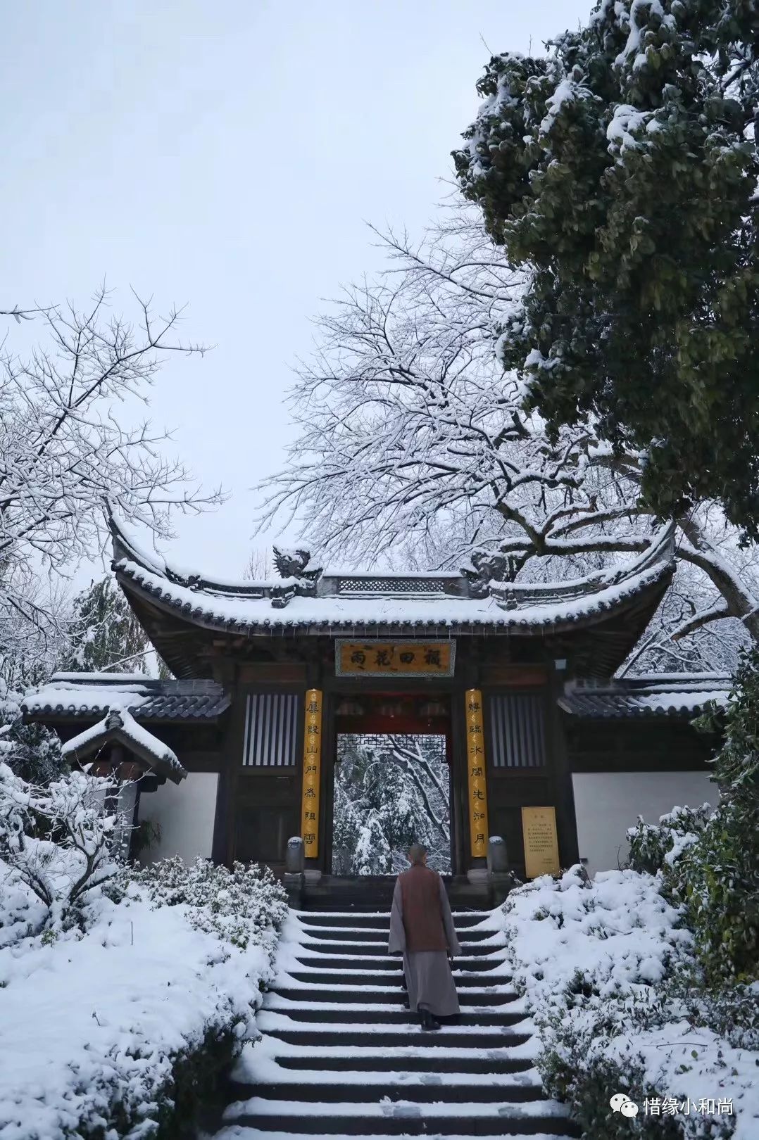 杭州的这场雪到底有多美?一组小和尚拍摄的雪景