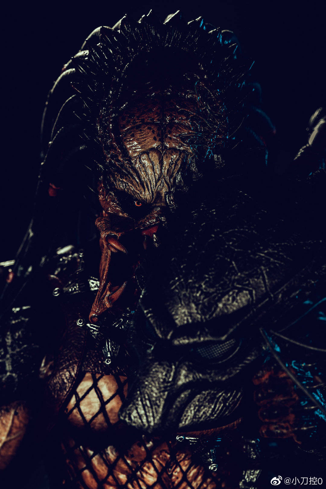hottoys 1/6 mms443 avp - 铁血战士 独狼/wolf predator