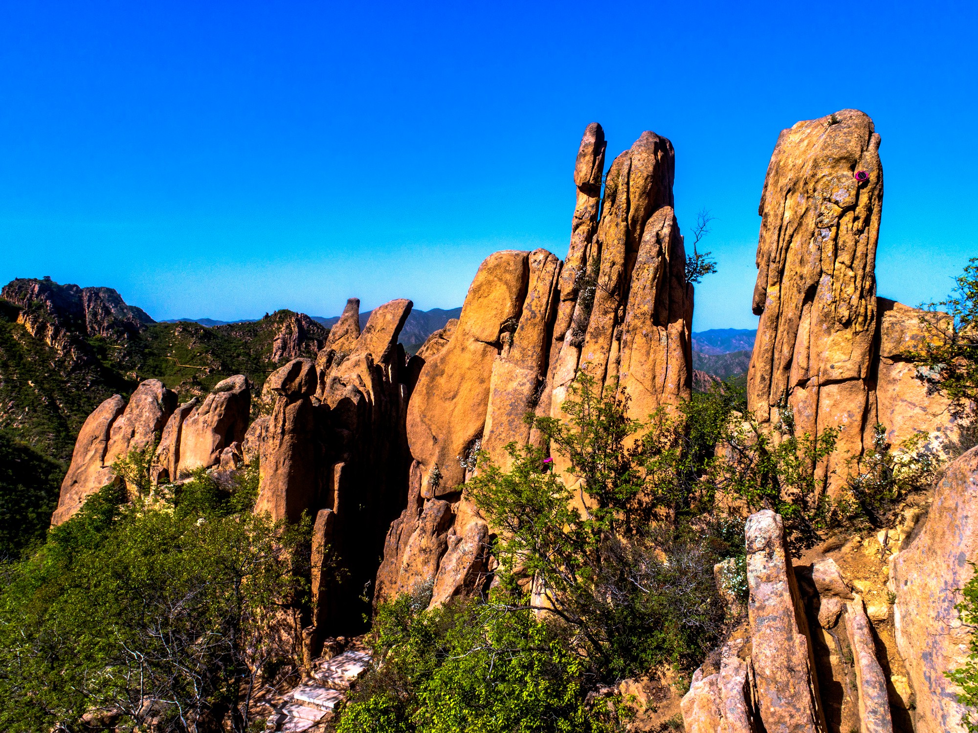 一柱擎天元阳石,造化奇观五月冰,绿树坚冰同框,阴阳呼应大黑山