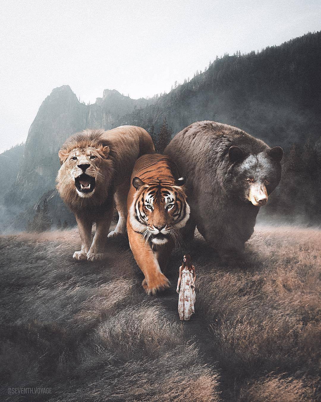 强大的后期 | 美国摄影师,艺术总监和平面设计师 jeff kepler