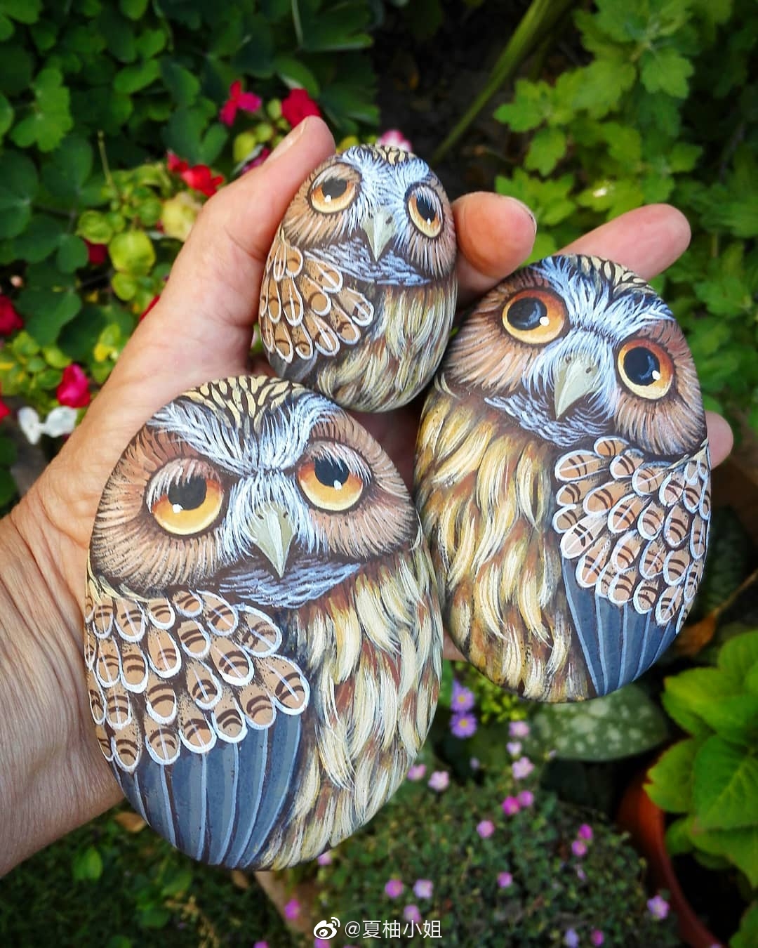 动物石头画,憨萌可爱的小熊猫超可爱