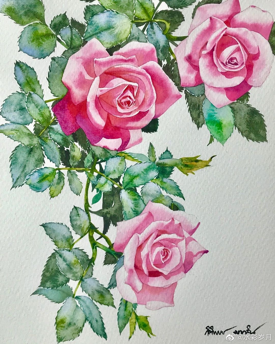 泰国艺术家 ‖ kitipong ti 水彩花卉作品