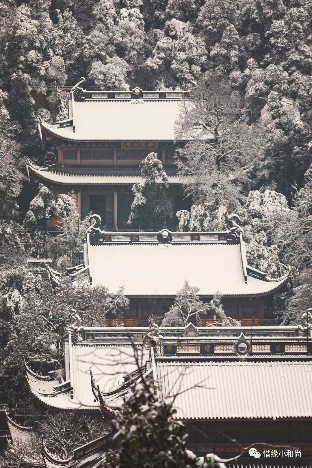 国清寺雪景图片