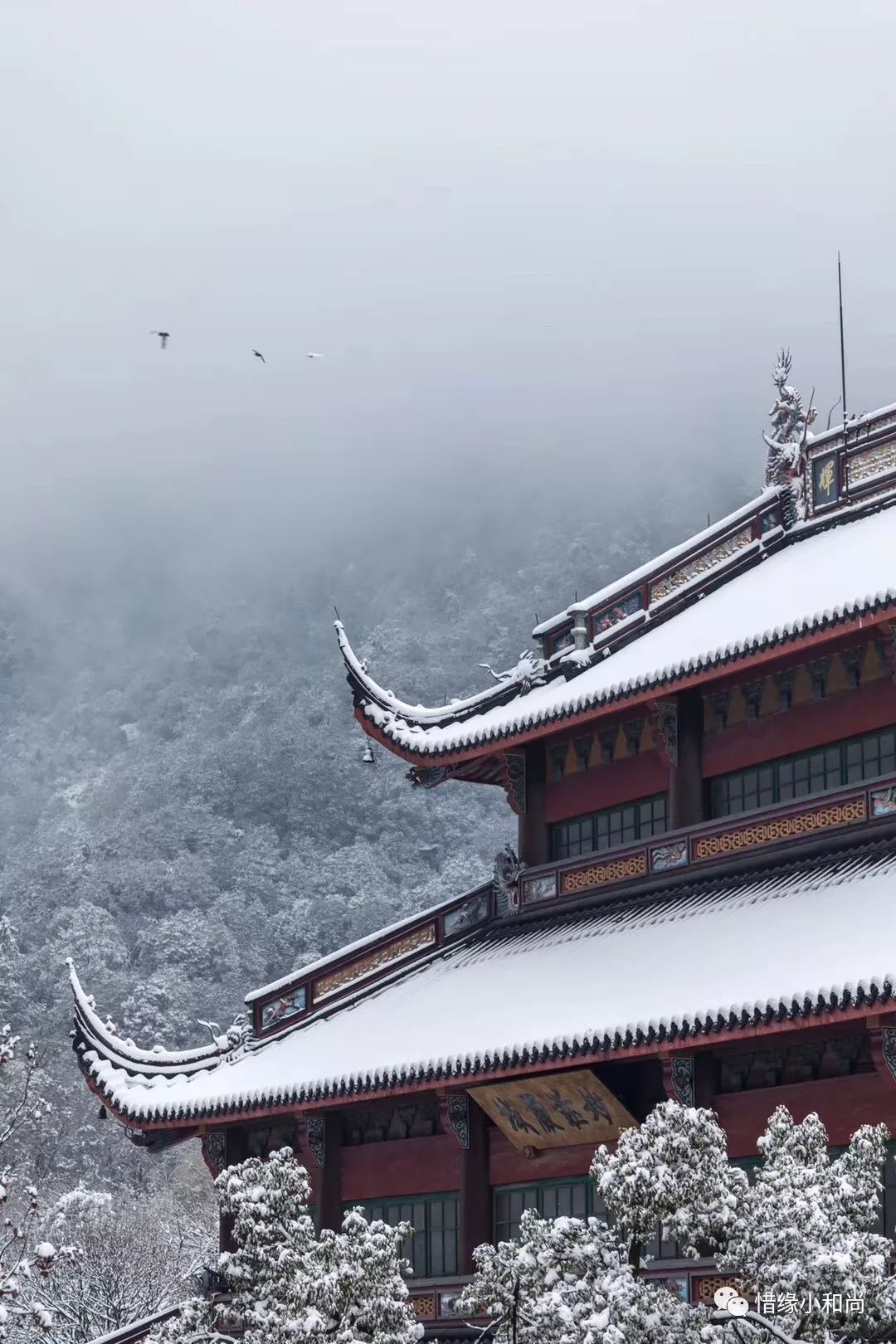 一组小和尚拍摄的雪景