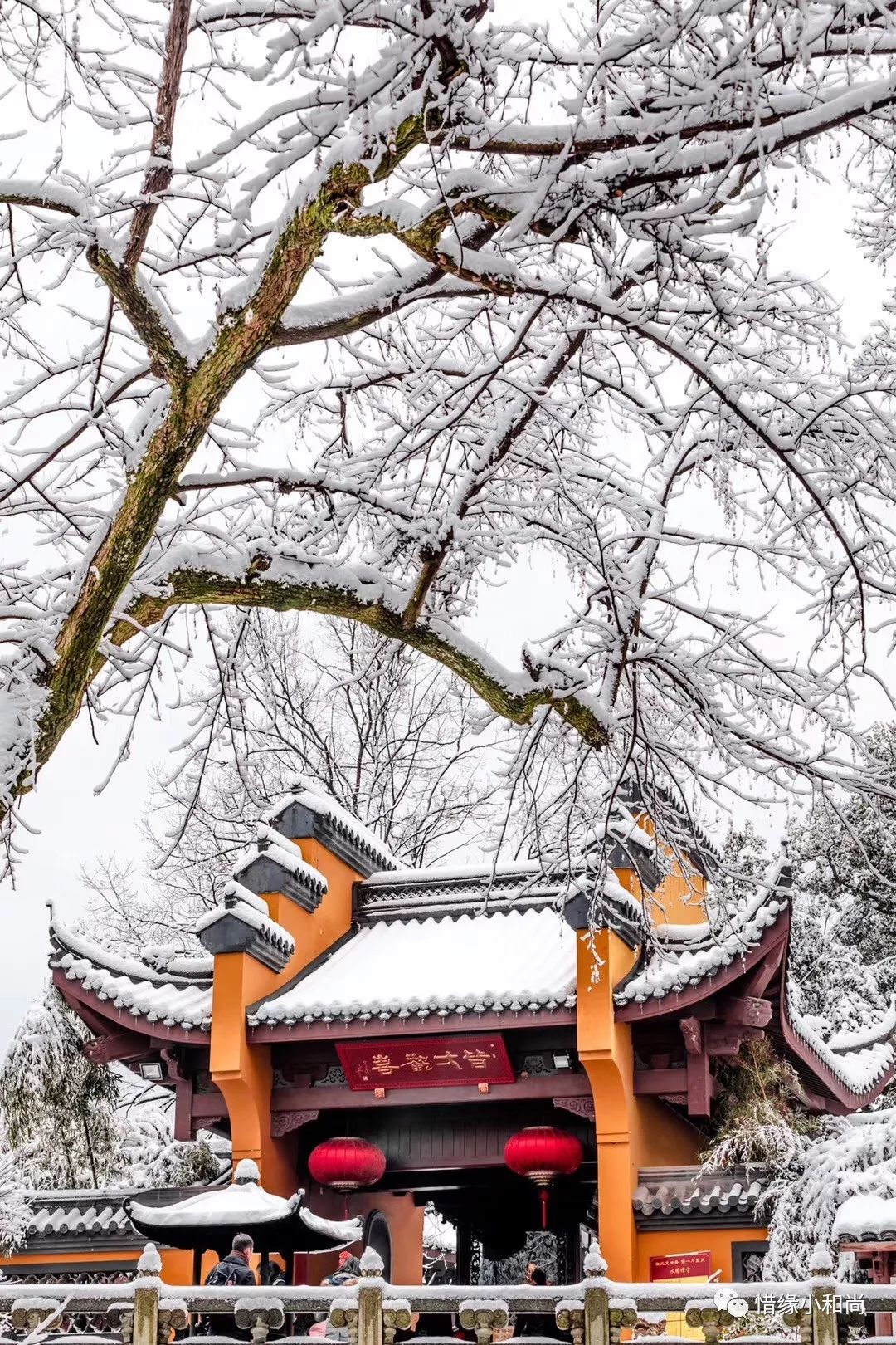清水寺雪景图片