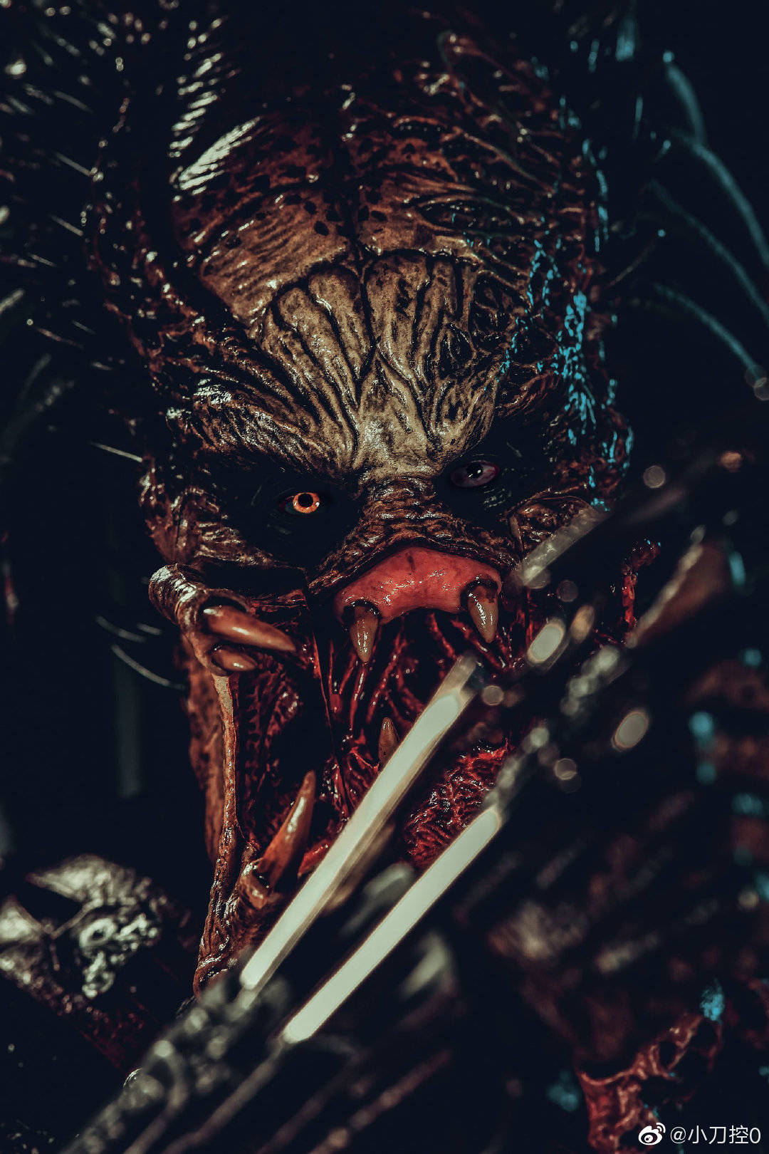 hottoys 1/6 mms443 avp - 铁血战士 独狼/wolf predator