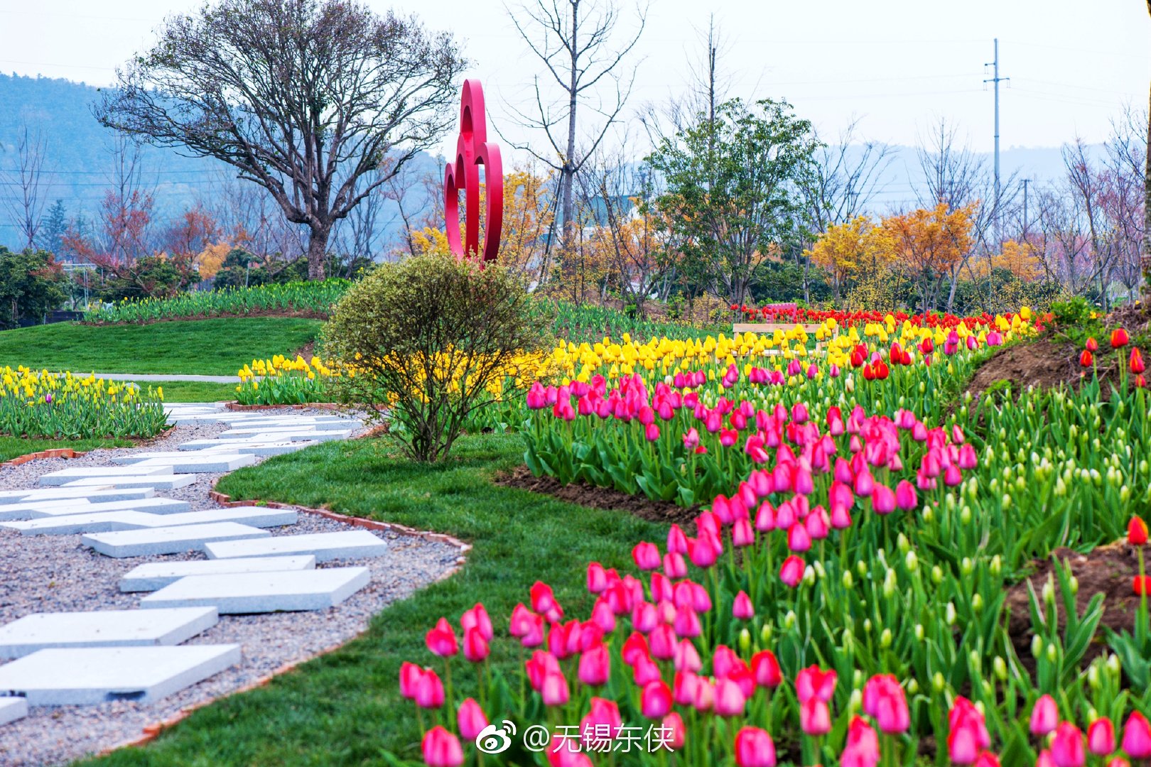 无锡九龙湾花彩小镇,一辆驶自春天花朝节的列车