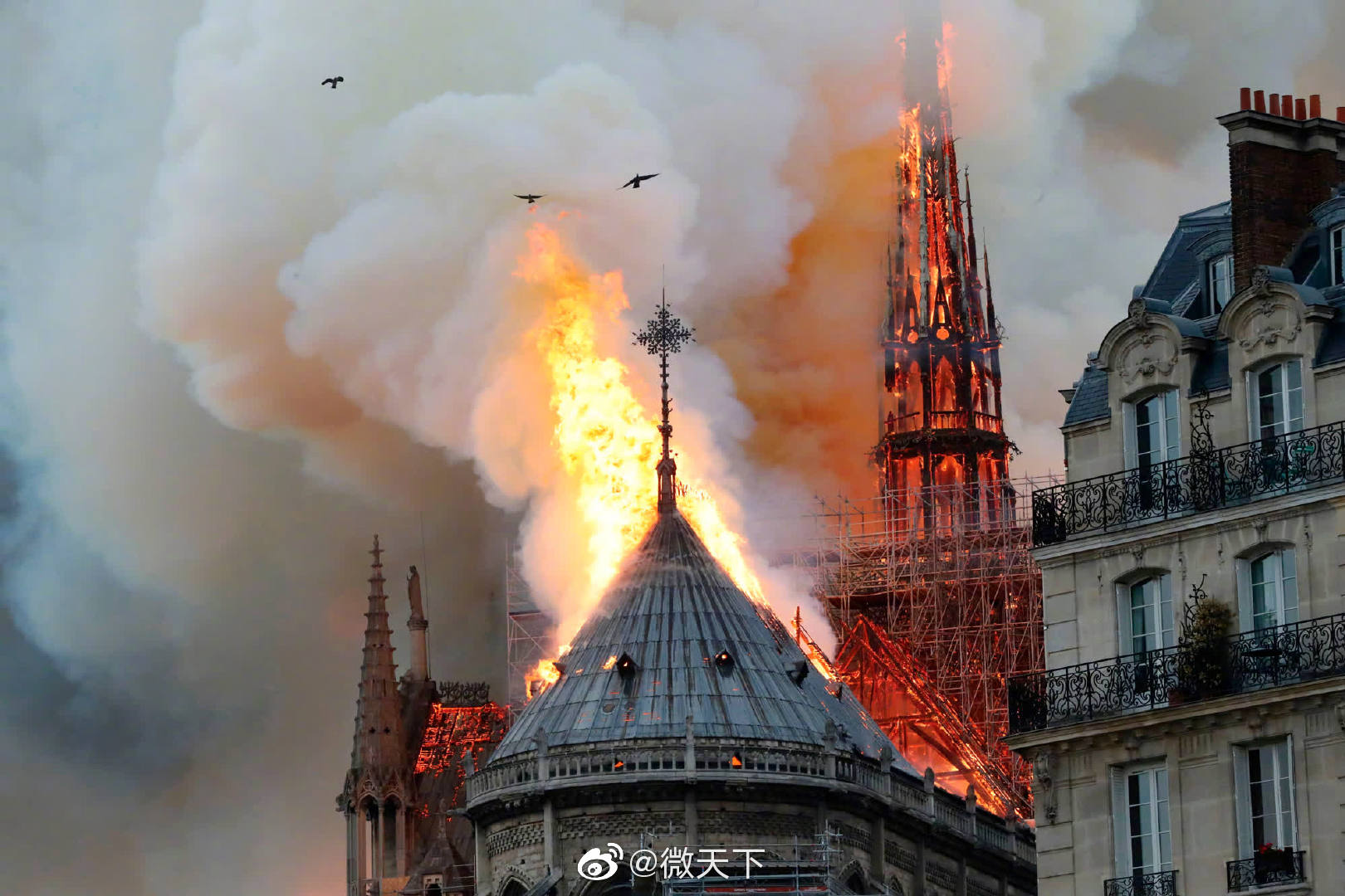 19年的世界 哪些大事令你影响深刻 Cnn用新闻图片