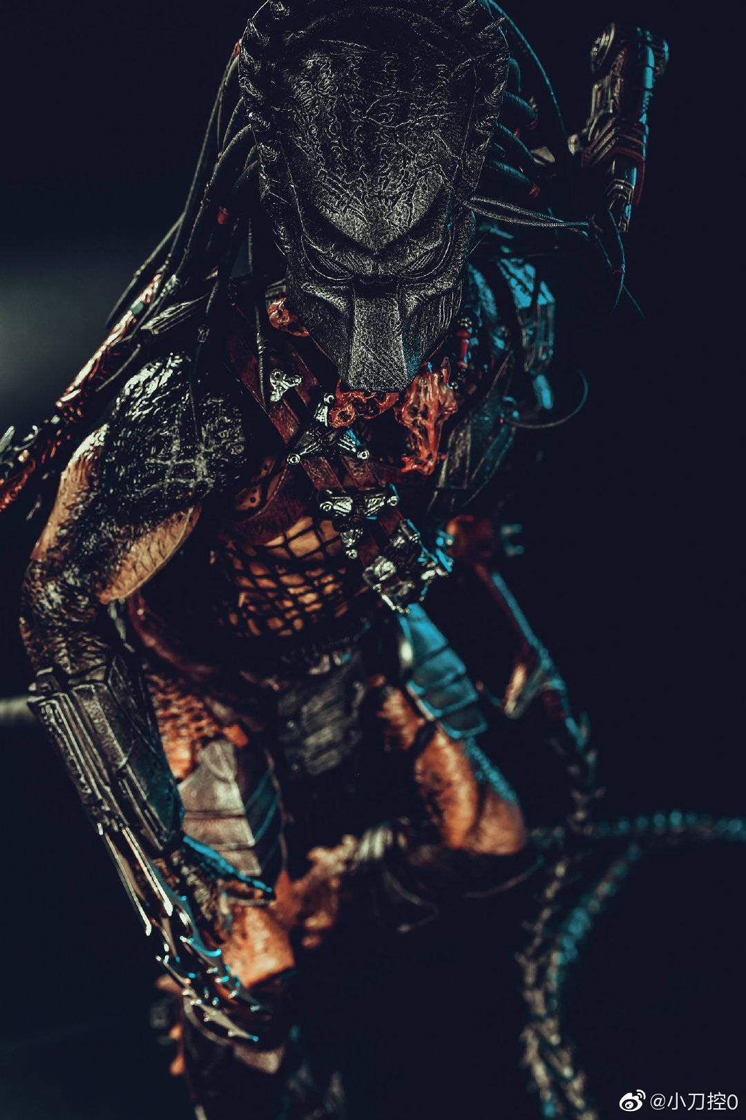 hottoys 1/6 mms443 avp - 铁血战士 独狼/wolf predator