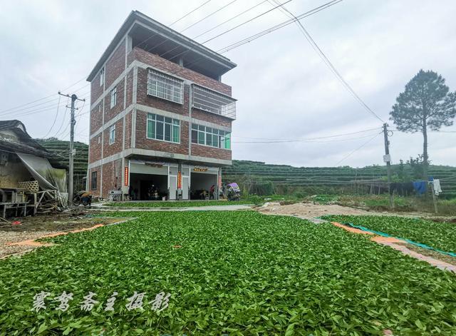 安溪蓝田有个蓝一村村子里最古老的建筑就是这座清末的方形土楼