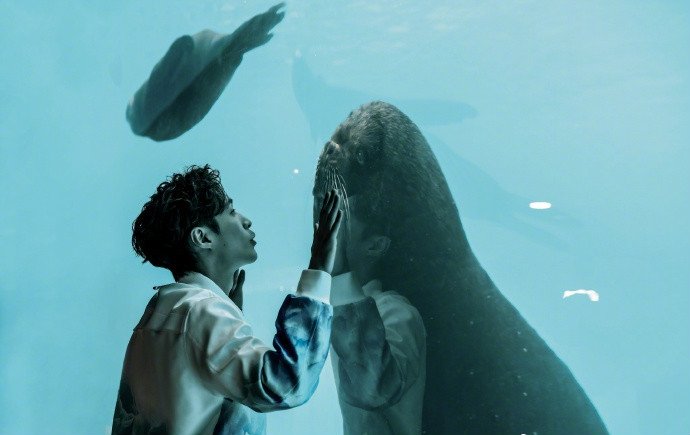 海洋馆和海狮深情对望,隔着玻璃亲吻海狮