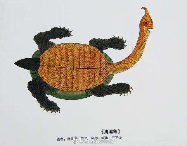 海错图是清朝康熙年间由画家聂璜绘制的一组图谱