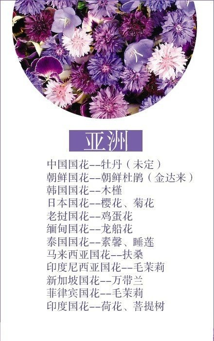 世界各国的国花,你都知道几个?