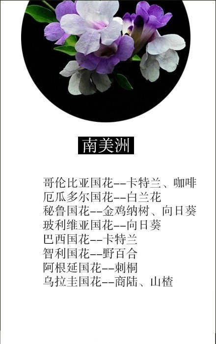 世界各国的国花,你都知道几个?