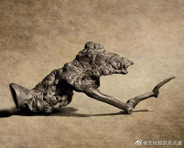 瘿木，又名影木，是树木在生长过程中，受到害虫或真菌的刺激|影木|瘿木|树木_新浪新闻