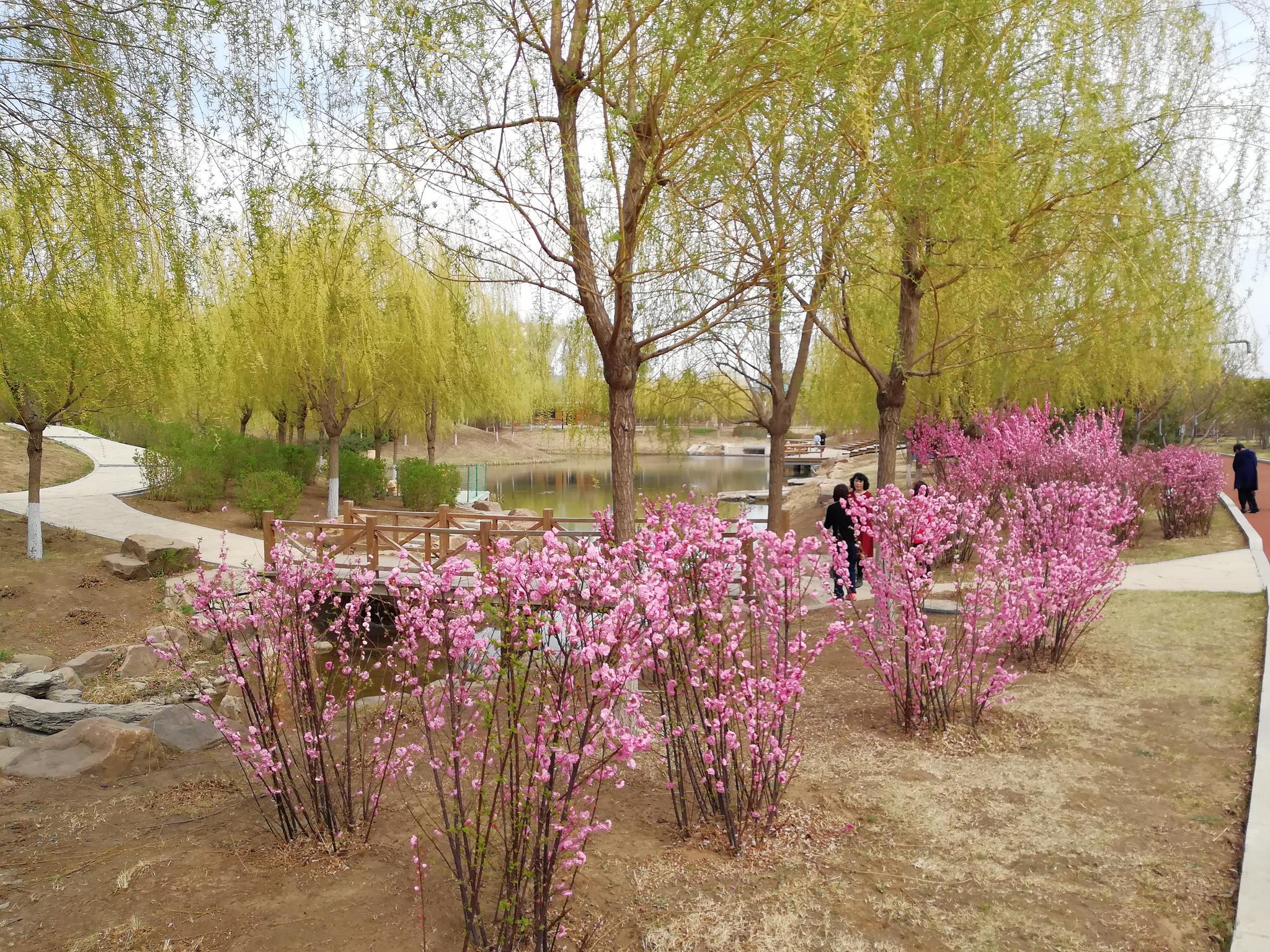 长春梨花园,来过吗?