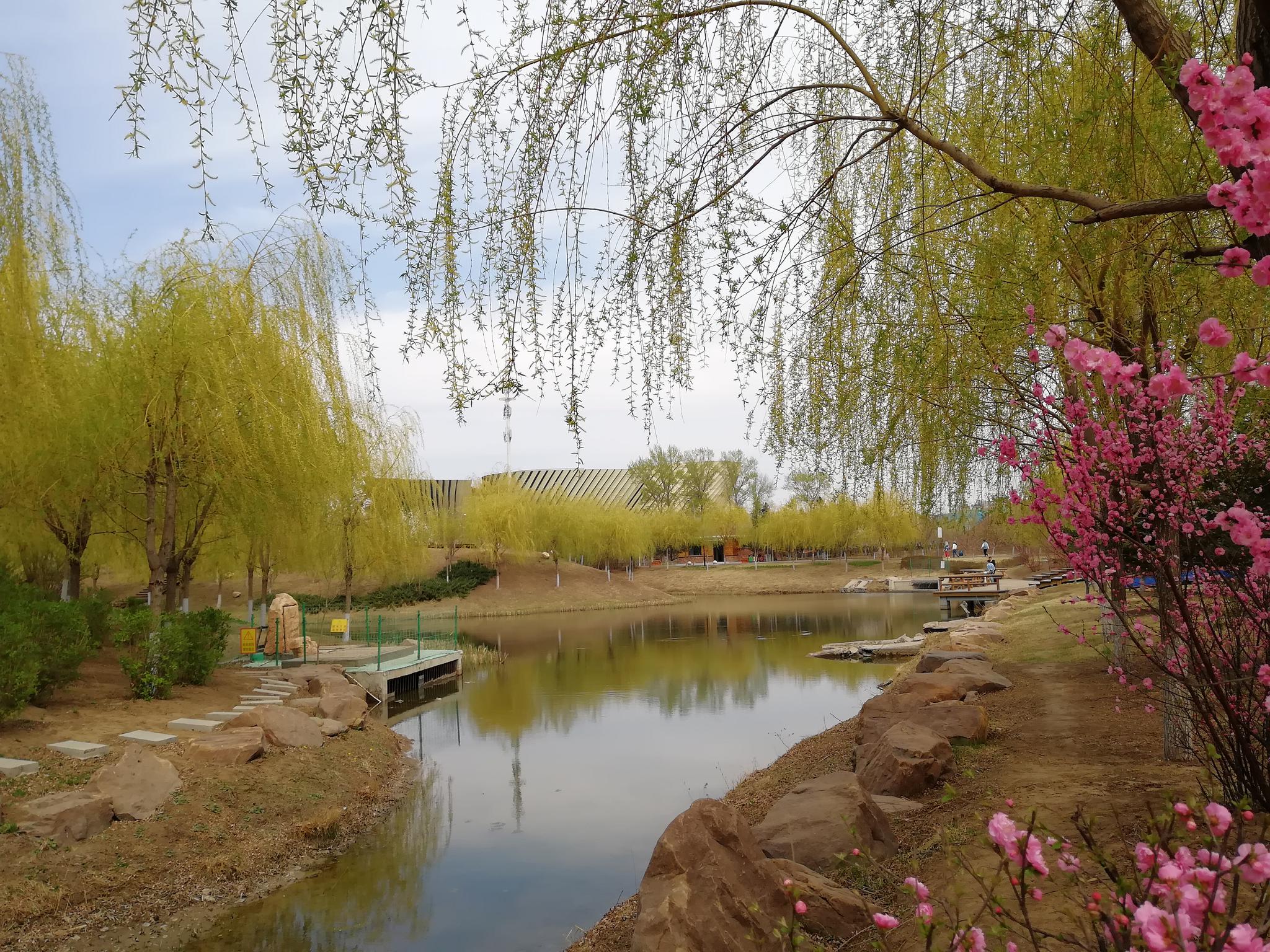 长春梨花园,来过吗?