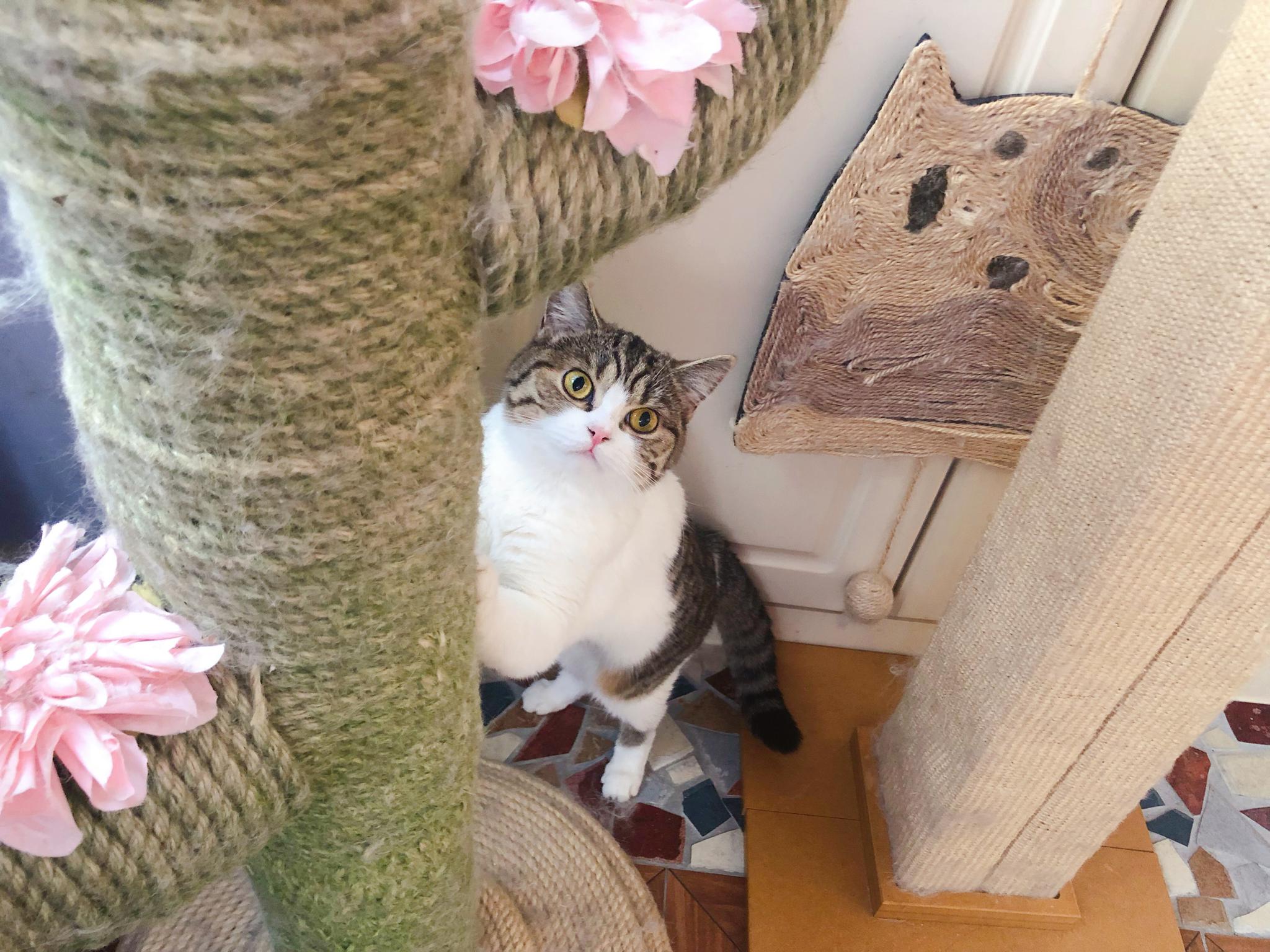 这个角度的小妞像个小贼 偷偷摸摸鬼鬼祟祟的亚子