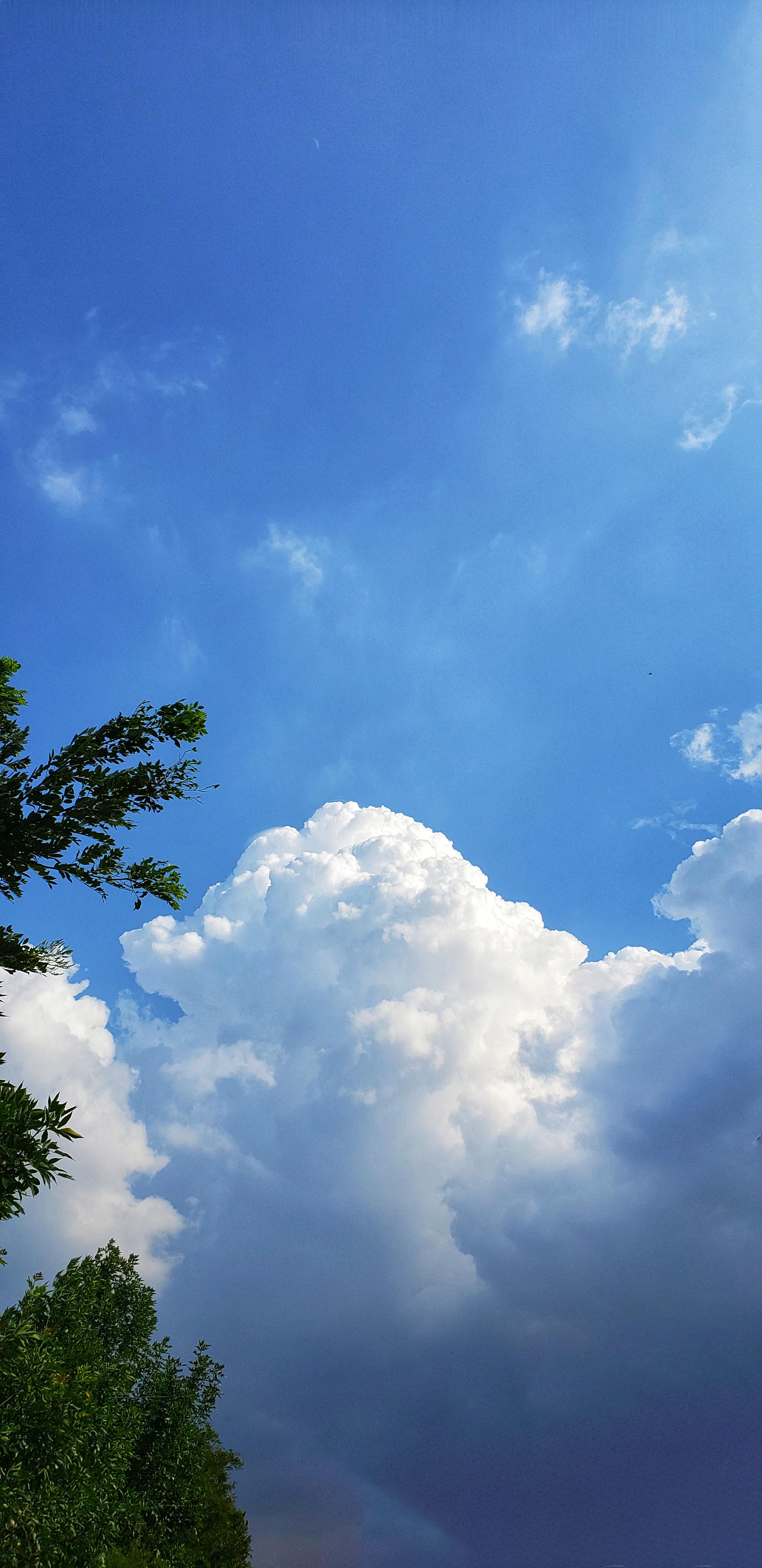 老家的云朵十分美丽像游客一般在明净的天空上飘来荡去