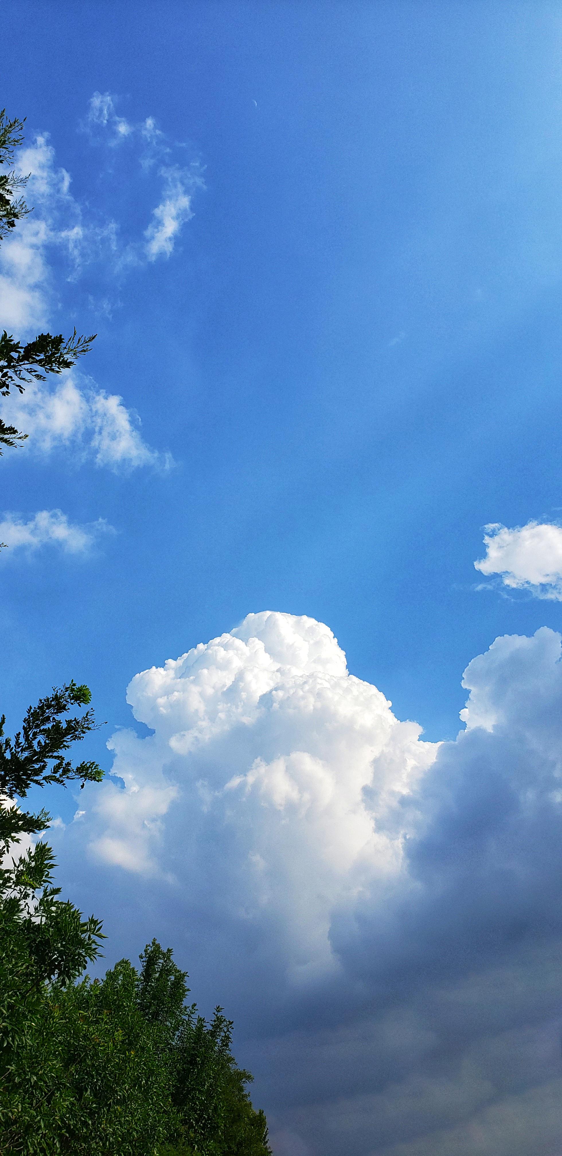 老家的云朵十分美丽像游客一般在明净的天空上飘来荡去