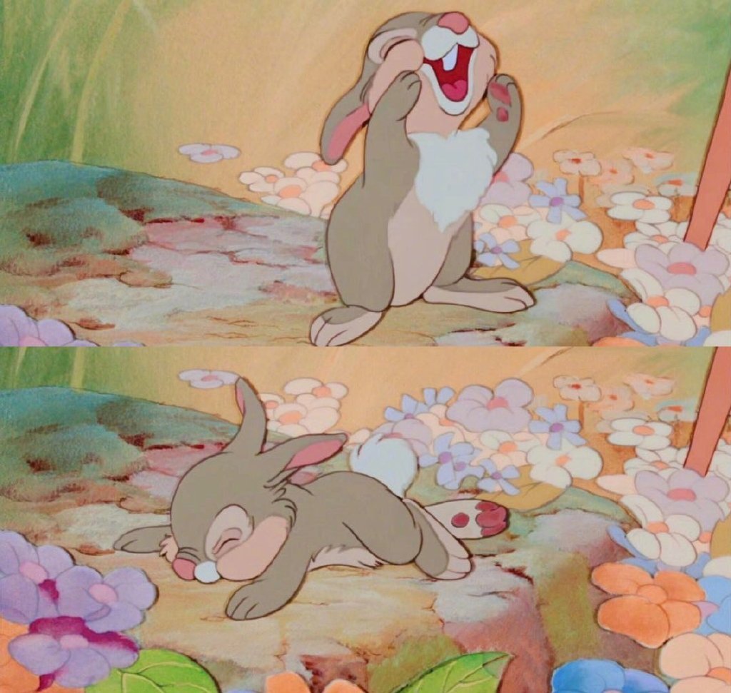 迪士尼动画里的可爱小动物们