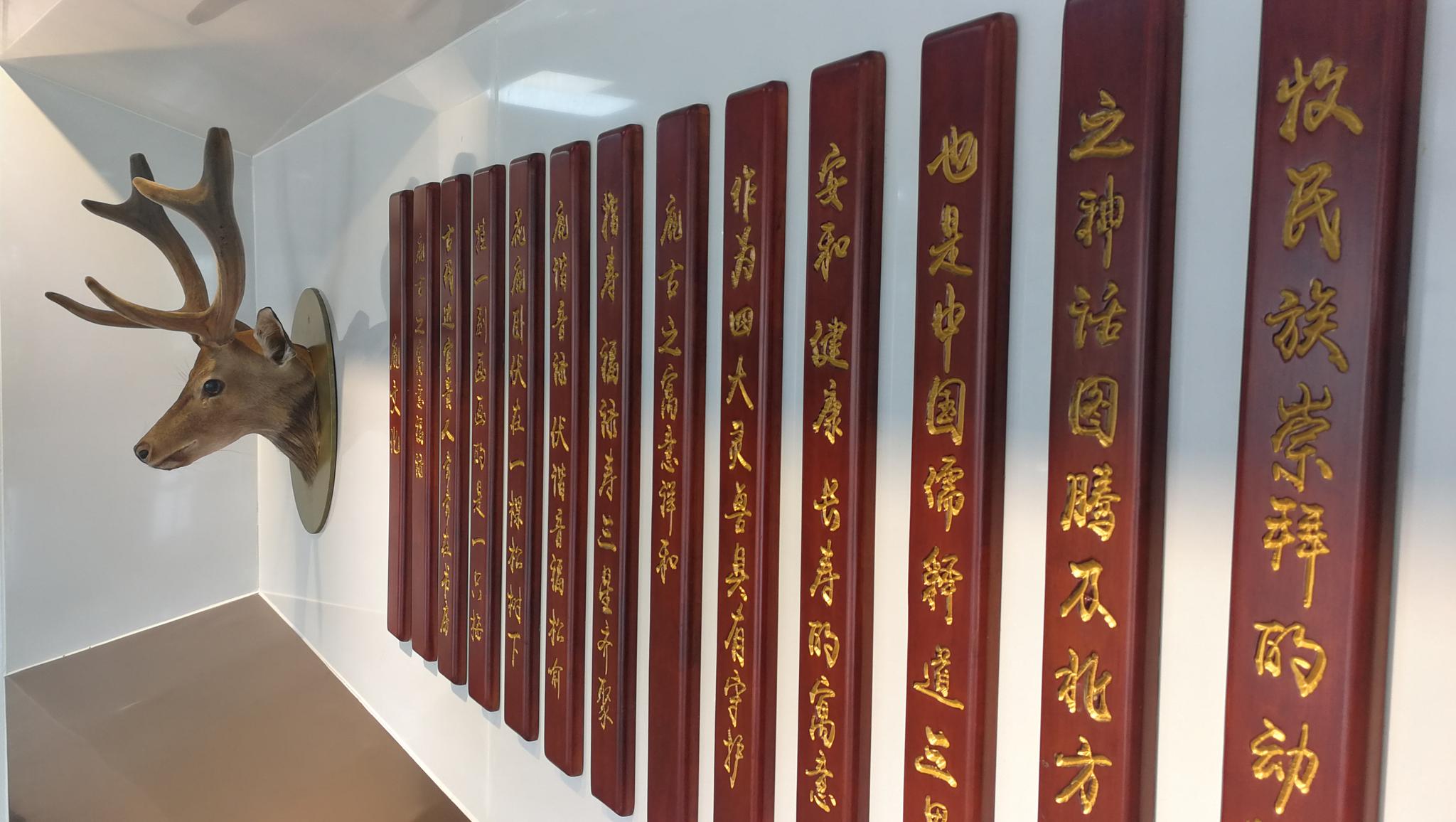 长春双阳 ：走进东鳌鹿业听鹿鸣“呦呦”|产业链|鹿业|梅花鹿_新浪新闻