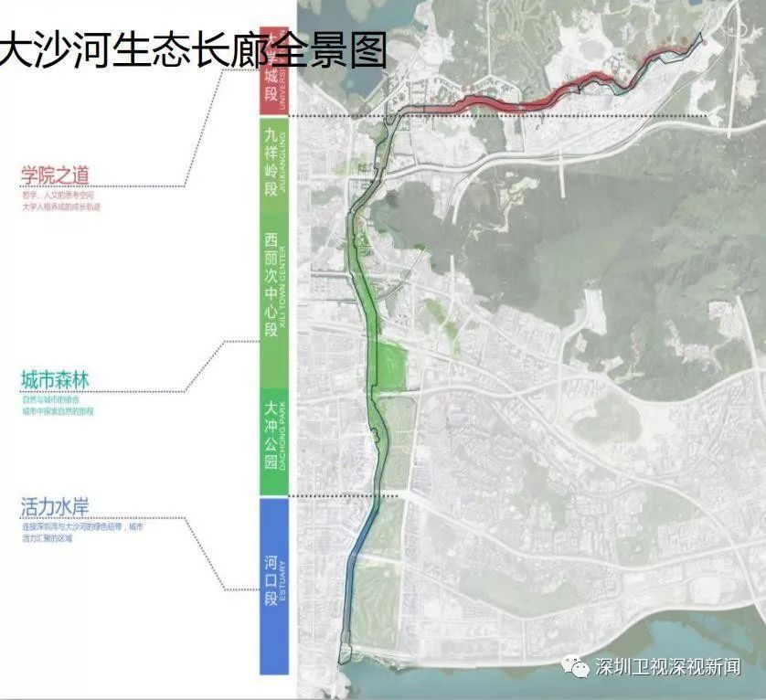 位于深圳湾流域的大沙河生态长廊,全长13.