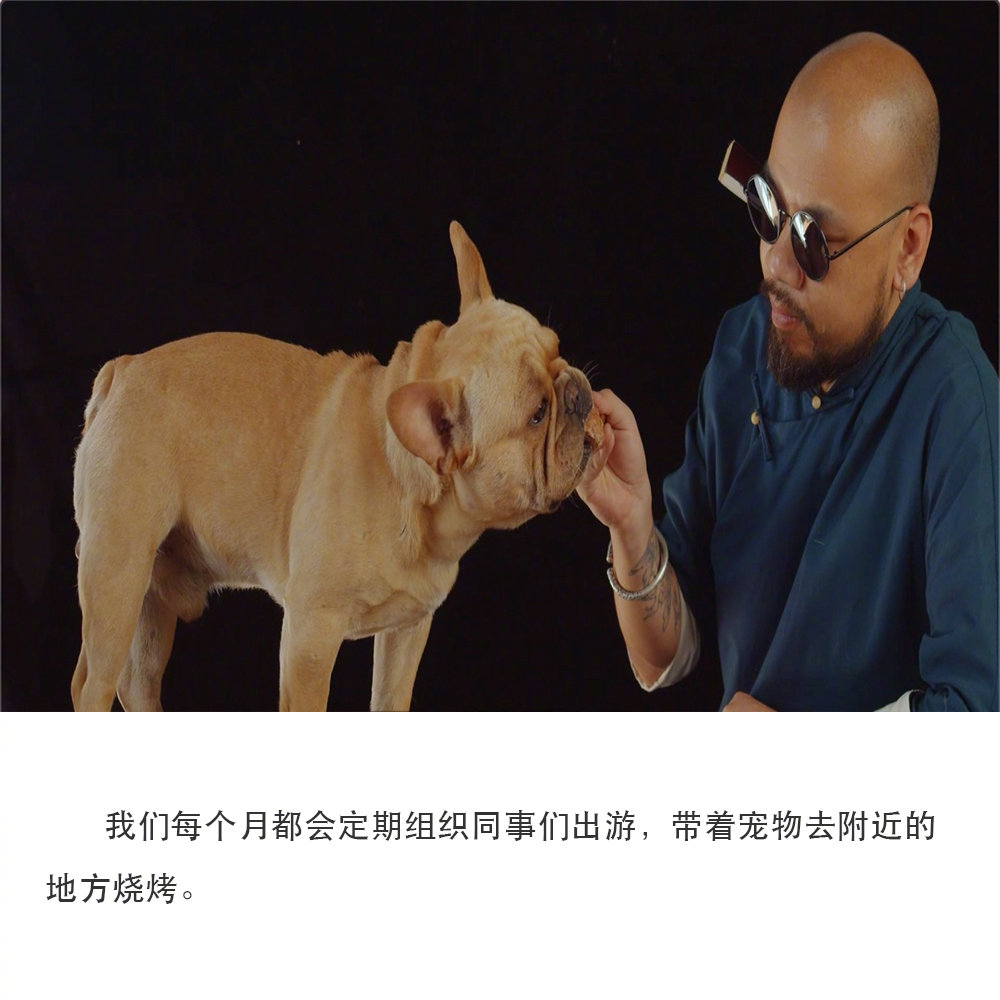 销量火爆的新能源车