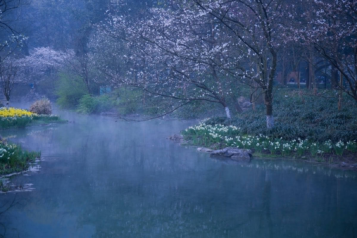 空山无人,水流花开