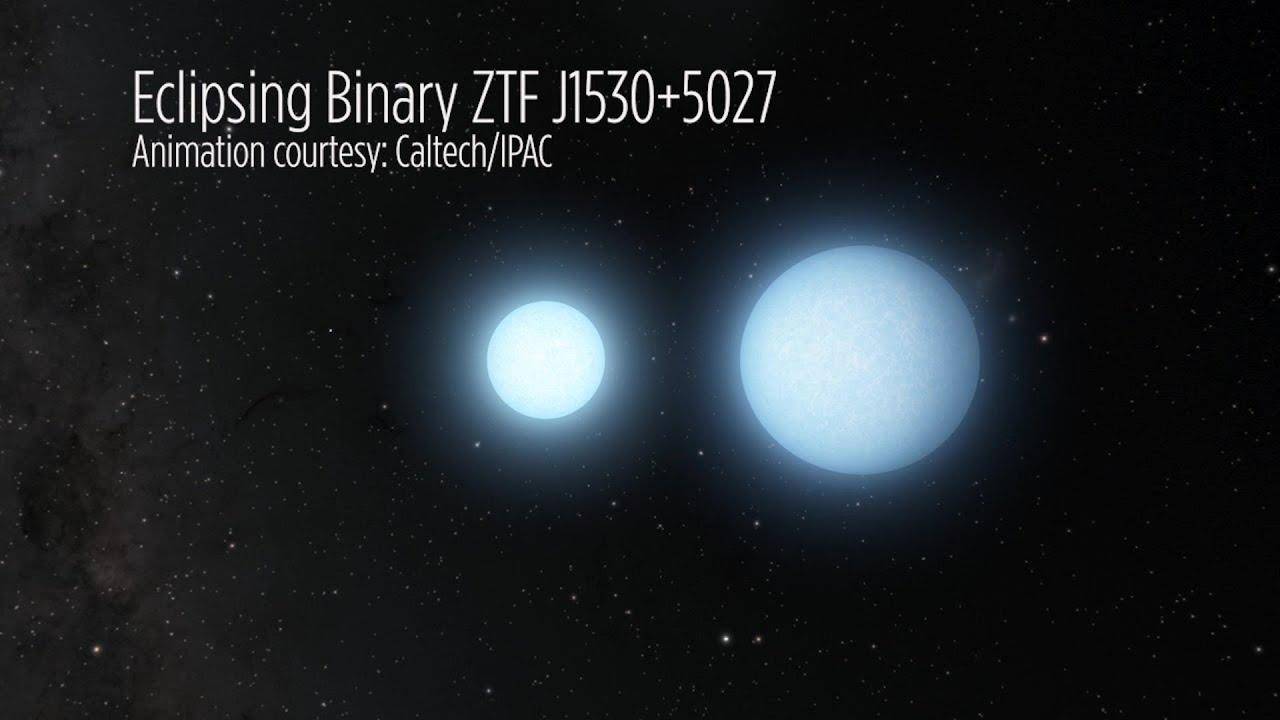 看完恍然大悟|天狼星|白矮星|恒星_新浪新闻