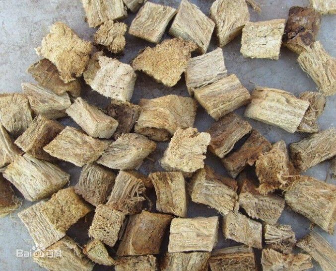 拿火都烧不死,美国人视它为生态杀手,在我国却堪比人参|葛藤|葛根