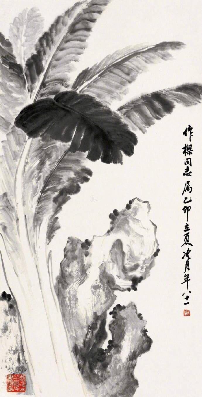 窗前谁种芭蕉树阴满中庭阴满中庭叶叶心心舒卷有余情